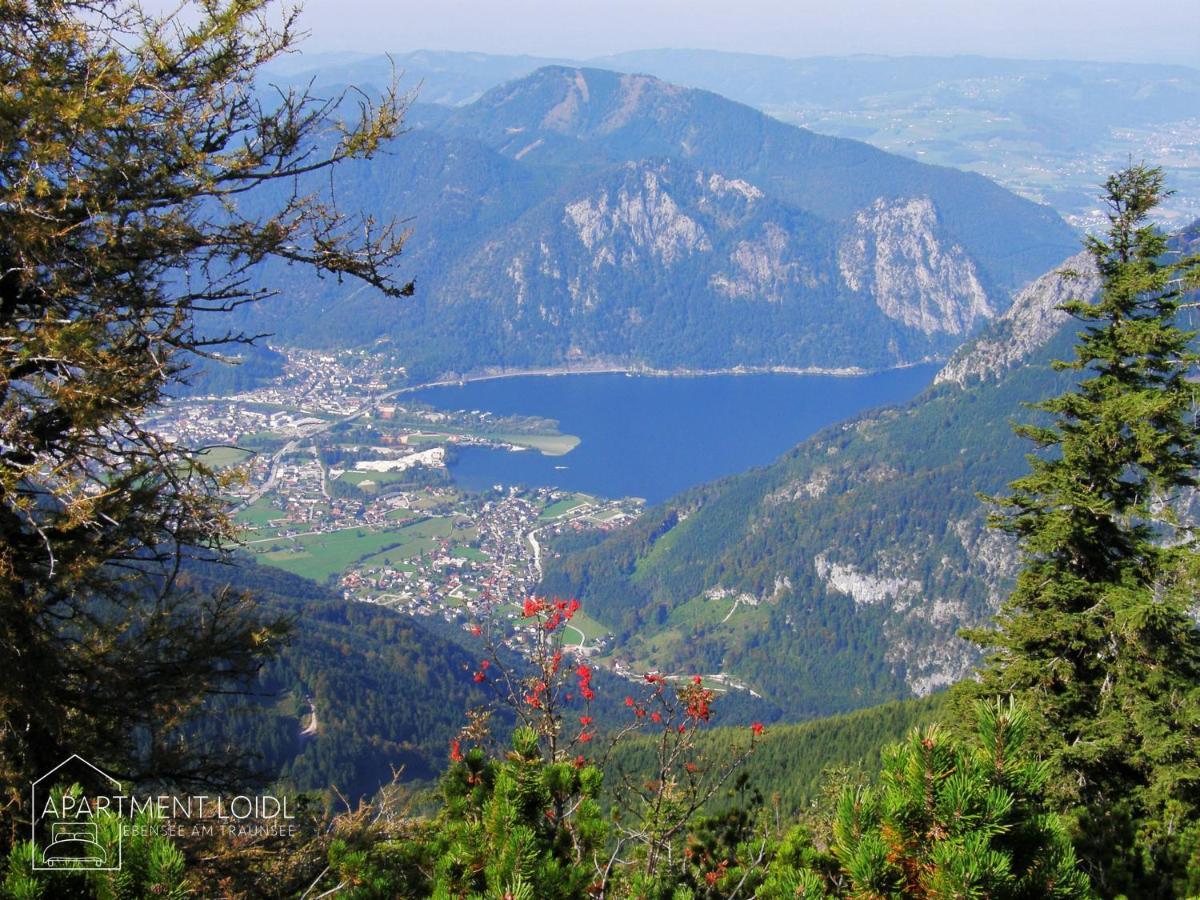 Apartment Loidl Ebensee Zewnętrze zdjęcie