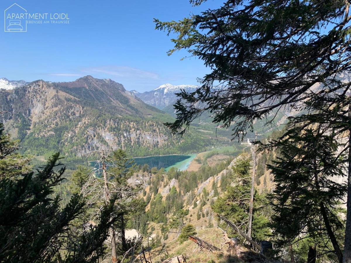 Apartment Loidl Ebensee Zewnętrze zdjęcie