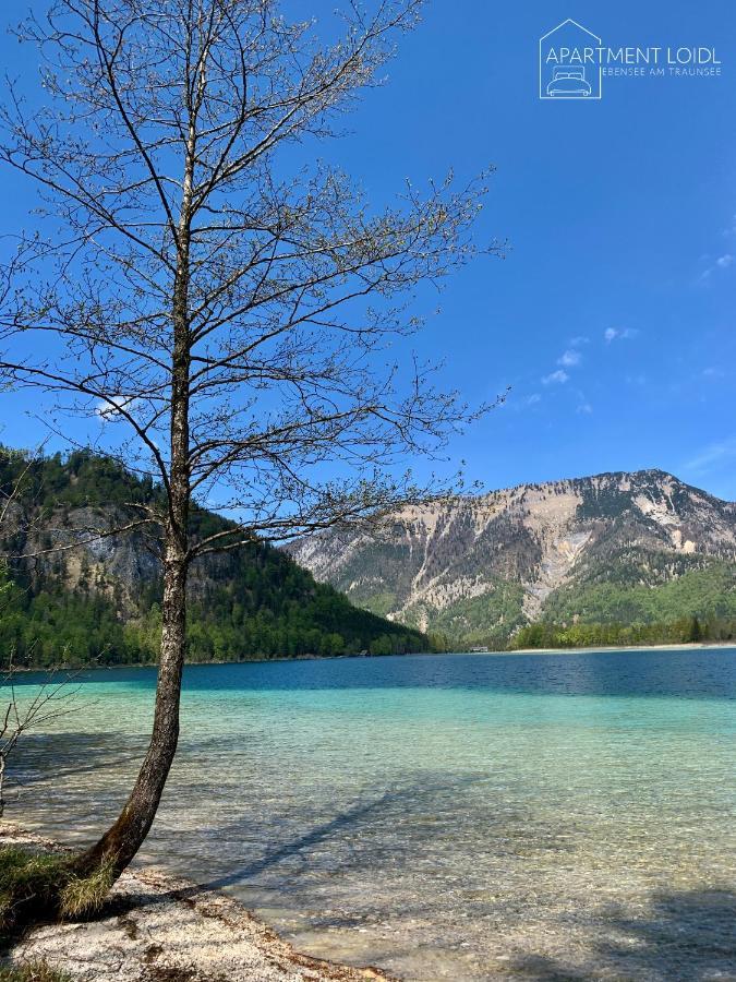 Apartment Loidl Ebensee Zewnętrze zdjęcie